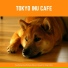 Inu Cafè Tokyo