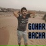 Gohar Bacha