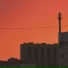 Дегид