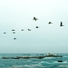 Bossa Cafe en Ibiza, Meditation Spa, Reiki