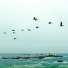 Bossa Cafe en Ibiza, Meditation Spa, Reiki