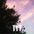 Hdwv