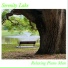 Relaxing Piano Man