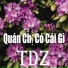 TDZ feat. TDZ Music Group