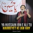 Hassan Sadiq