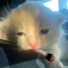 Sqwr