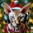 TIMANDSYNTH