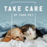 Pet Music Academy