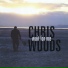 Chris Woods