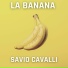 Savio Cavalli