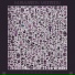 Murmuration Meditation