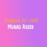 Murad Aseer