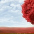 ufounited