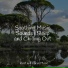 Study Power, Spa Zen, Sleepy Night Music