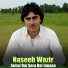 Naseeb Wazir