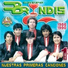 Grupo Bryndis