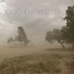 God of Wind
