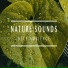 Nature Sounds