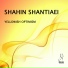 Shahin Shantiaei