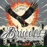 Bruce 019