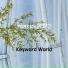 Keyword World
