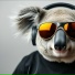 Koala Tunes