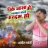 Aadil Pardesi