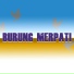 Agung