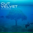 Cut Velvet