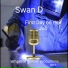 Swan D