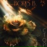 BORIS B.