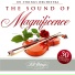 101 Strings Orchestra