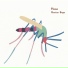 Plume