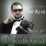 Panet.co.il Wade3 murad