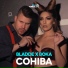 Bladde, Boka