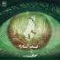 Mohamed Mohsen