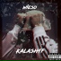 Kalash17