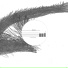 Raudive