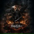 SapoLeSer