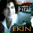 Ekin