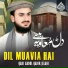 Qari Abdul Qadir Jelani