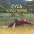 Гусь