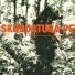 Skordatura Punkjazz Ensemble