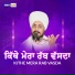 Sant Baba Ravinder Singh Ji Joni