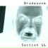 Bradezone