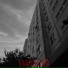 КВ №7