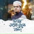 Sayed Ahmad
