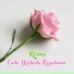 Risma