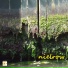 nielrow