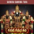 Bhandavi